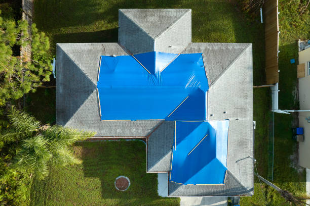 Best Cold Roofs  in Carthage, IL