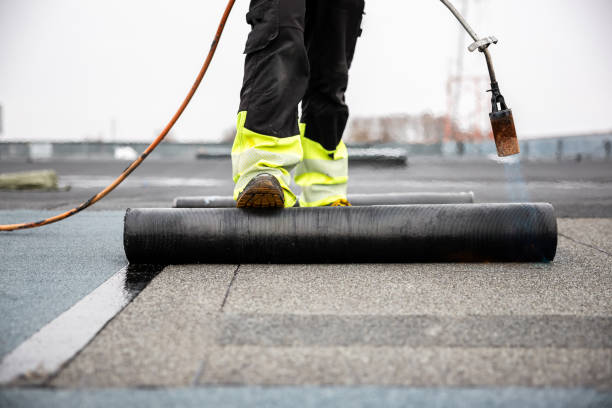 Best Solar Panel Roofing Installation  in Carthage, IL